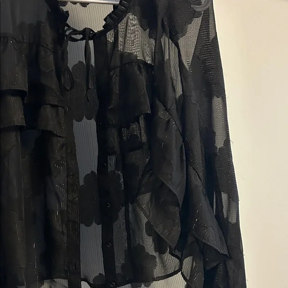 Chic Black Ruffle Sheer Blouse - Picture 3 of 5